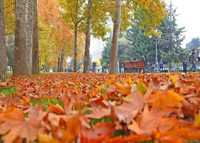 Naxçıvanda oktyabrın 28-nə olan hava proqnozu